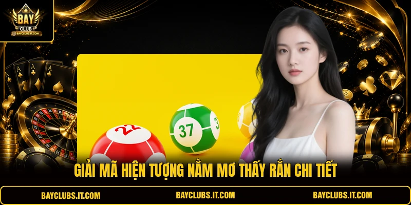 Giải mã hiện tượng nằm mơ thấy rắn chi tiết